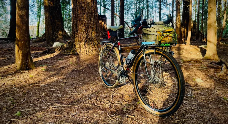 My bike in the forest, where we both most like to be.
